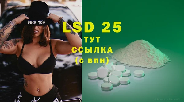 ПСИЛОЦИБИНОВЫЕ ГРИБЫ Алексин