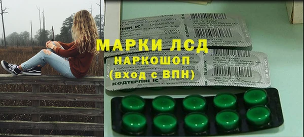 ECSTASY Алзамай